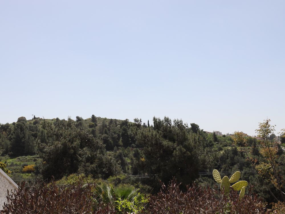 מהסמארטפון שלי